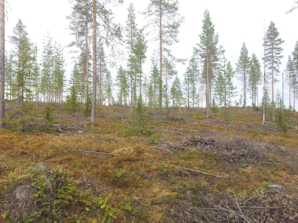 image001_0-1024x767.jpeg