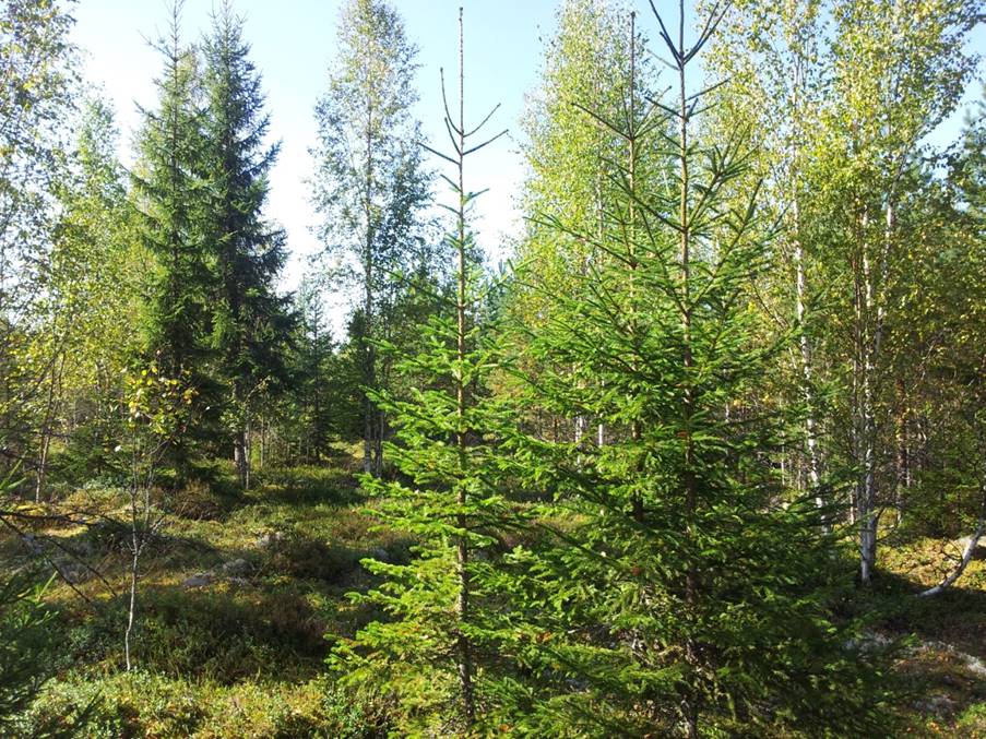 image002.jpeg