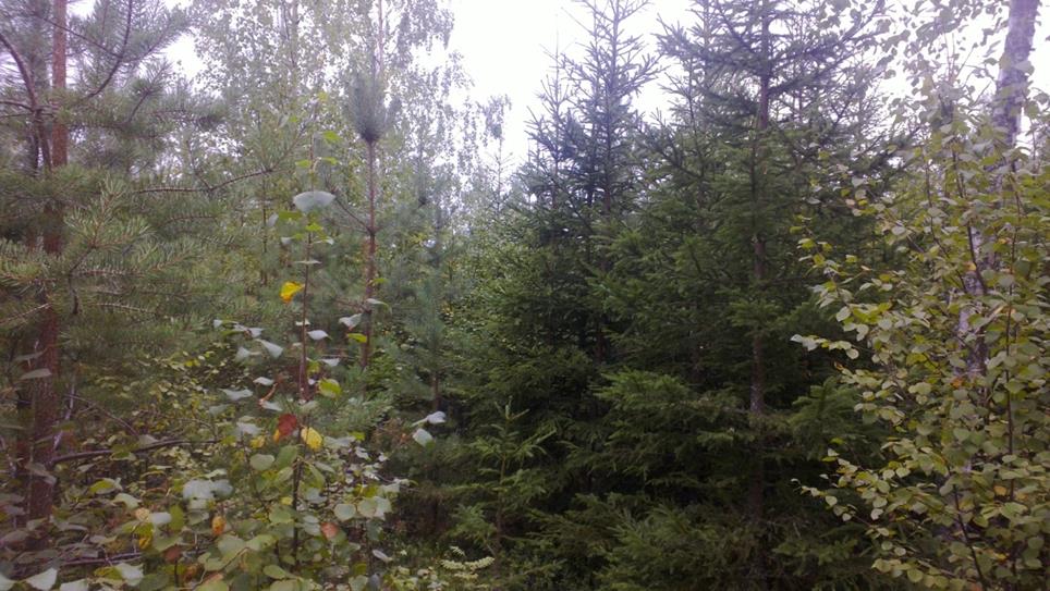 image002_1.jpeg