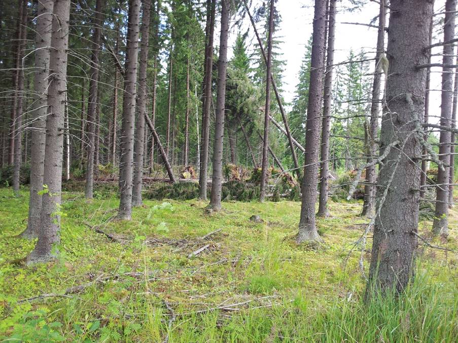 image002_5.jpeg