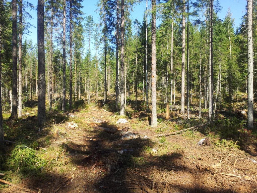 image005_0-1024x768.jpeg