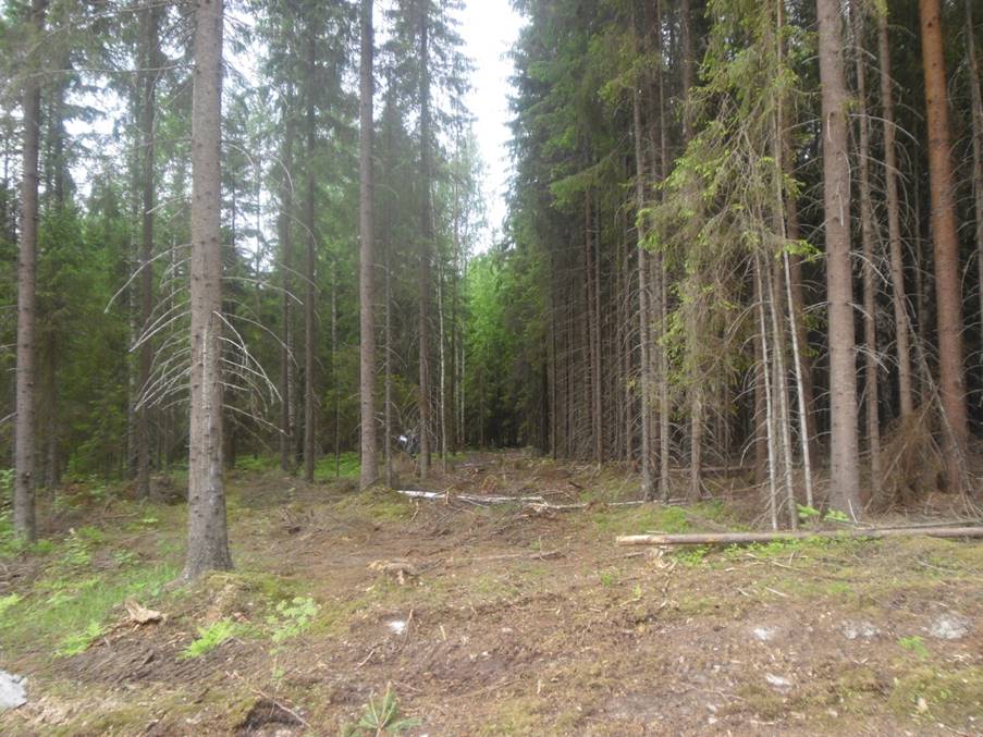 image006.jpeg