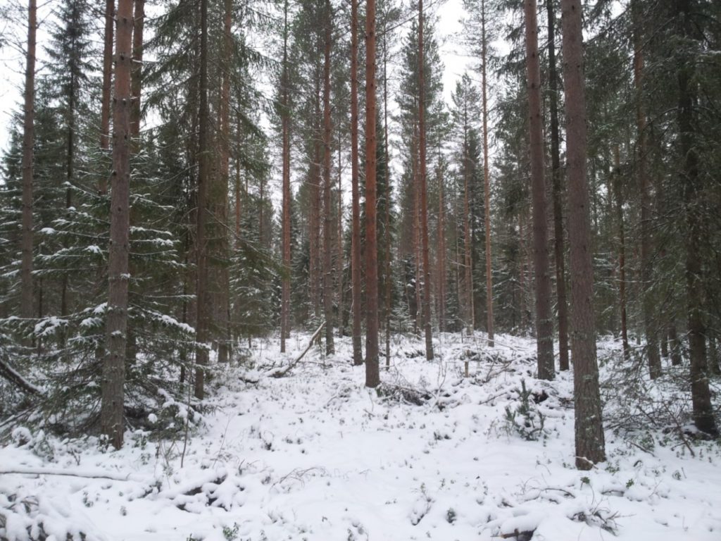 image007-1024x768.jpeg