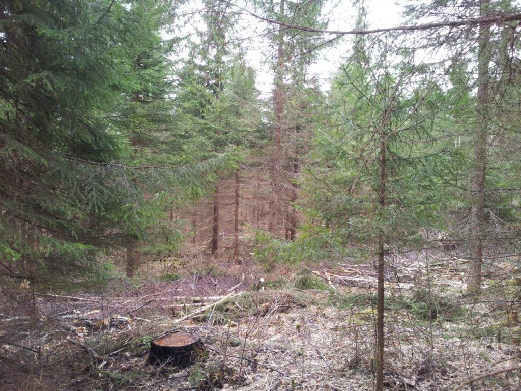image007_2-1024x768.jpeg