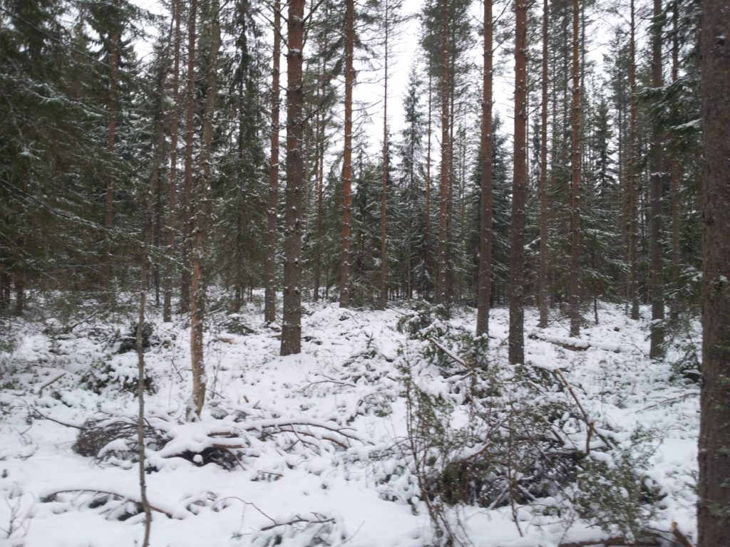 image009-1024x768.jpeg