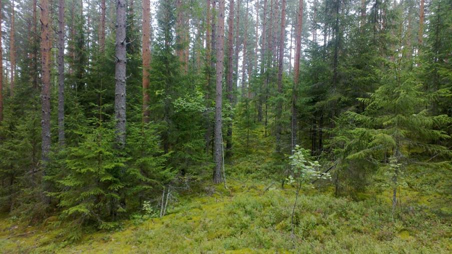image010_0.jpeg