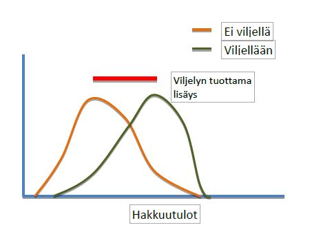 sieppaa.jpeg